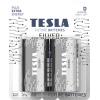 20210601145855_tesla_batteries_silver_d_2tmch