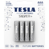 20210603151146_tesla_batteries_silver_aaa_4tmch